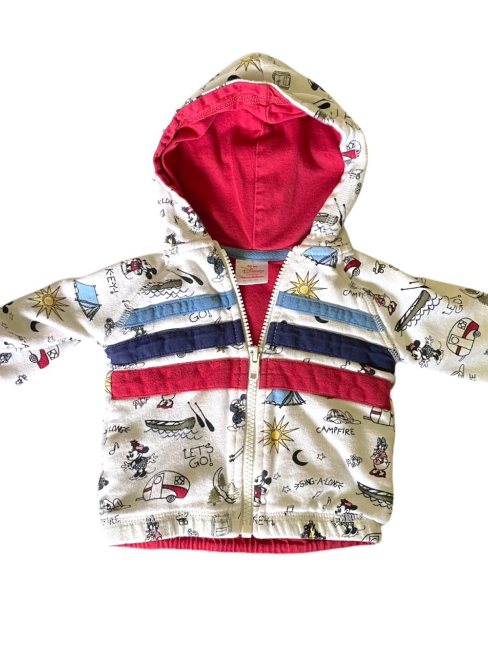 Hanna Andersson X Disney camping outdoor theme sweatshirt hoodie. Unisex